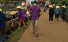 Thôn Đồng Lão tổ chức trồng cây Mắt Ngọc trong thực hiện Đường hoa xây dựng NTM nâng cao